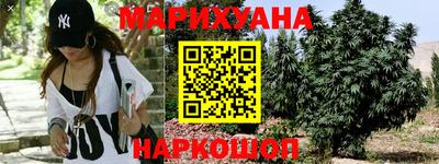 трава Кинель